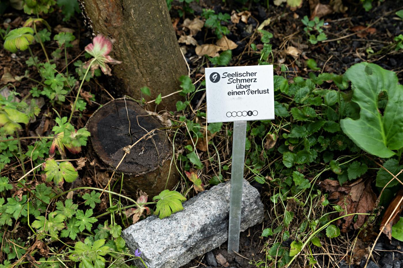 3 KHB The Palliative Turn Photo FredDott