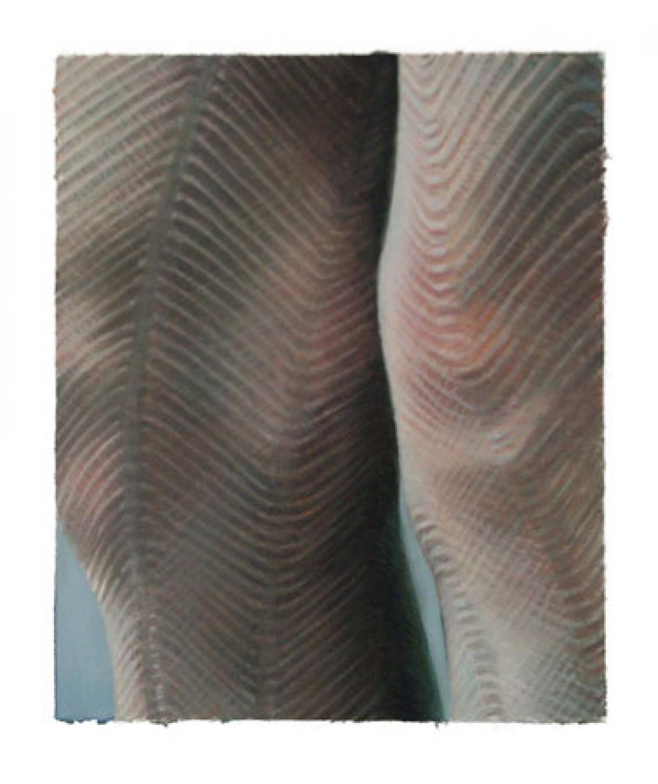 03 // Rauhe Fasern # 02 // Ohne Titel (SB III), 2006,Öl auf Papier,19 x 16 cm