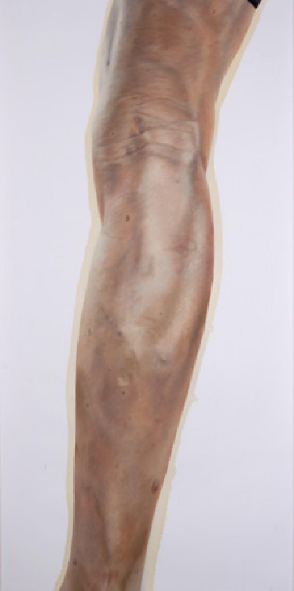 05 // Gute Waden # 04 // Ohne Titel (W I)), 2006,Öl auf Papier,250 x 133 cm