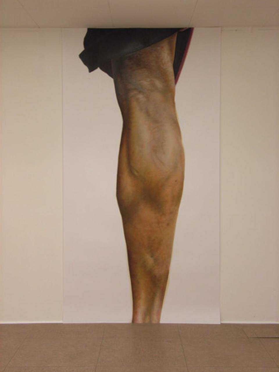 05 // Gute Waden # 05 // Ohne Titel (W IV), 2006,Öl auf Papier,250 x 133 cm