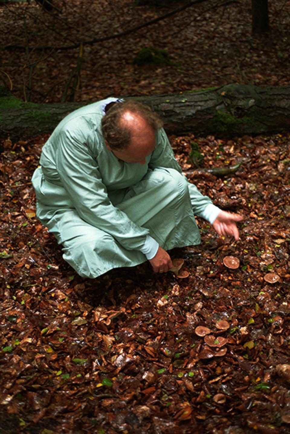 Sich um die Pilze kümmern # 01, 2010