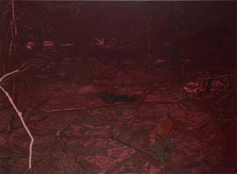 Kleine Lichtung.NEU. 18 05 17