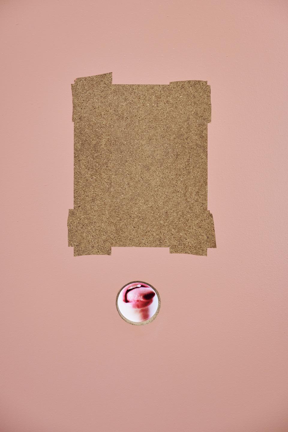 Mortadella statistics, 2020,Paravan mit Videoloop und Publikation (Sausage Operations - short manual), Pressspanholz, Messingschaniere und - schrauben, Plastikfolie, Acrylfarbe,ca. 220 x 300cm