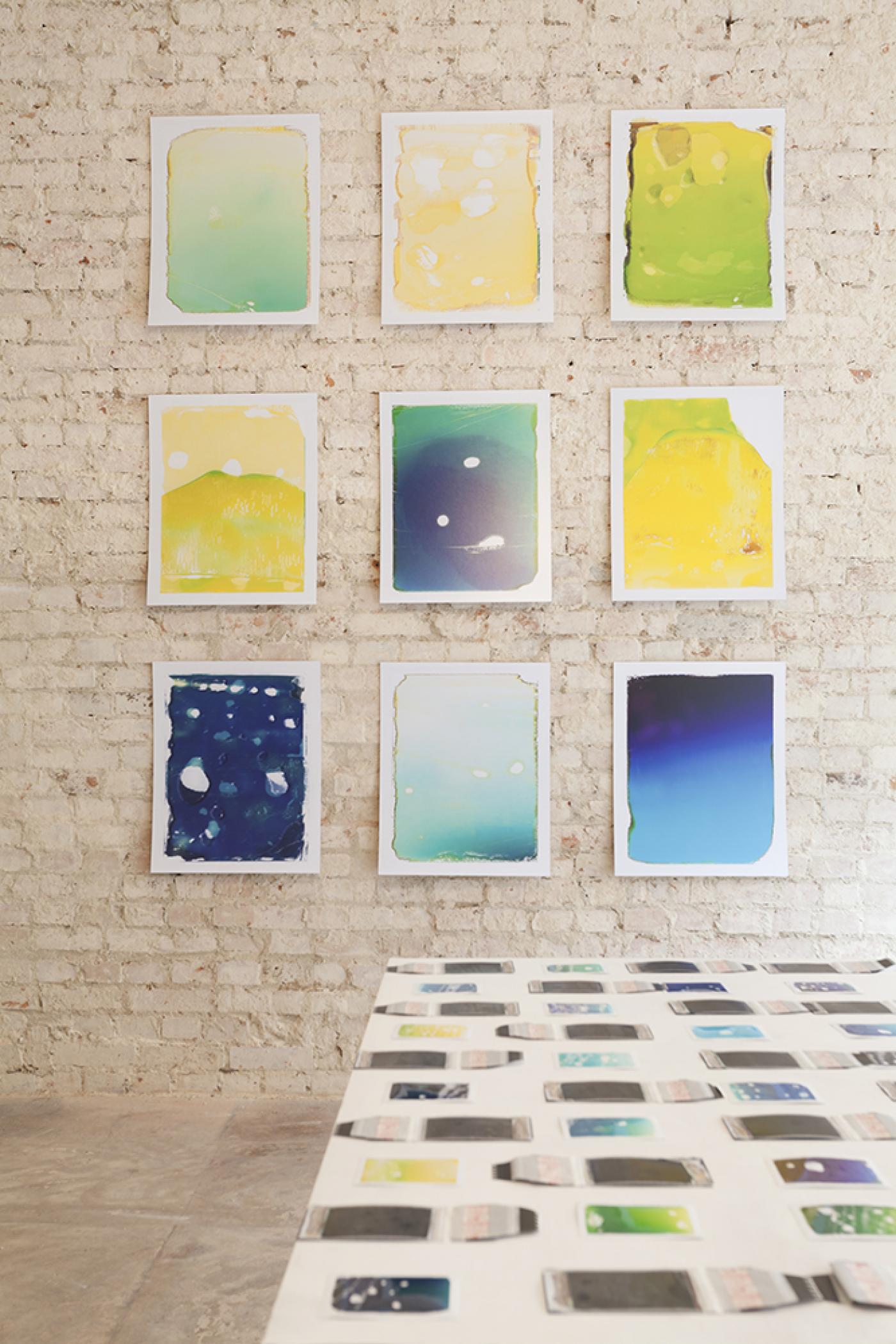 2015 Sara Forster missing link