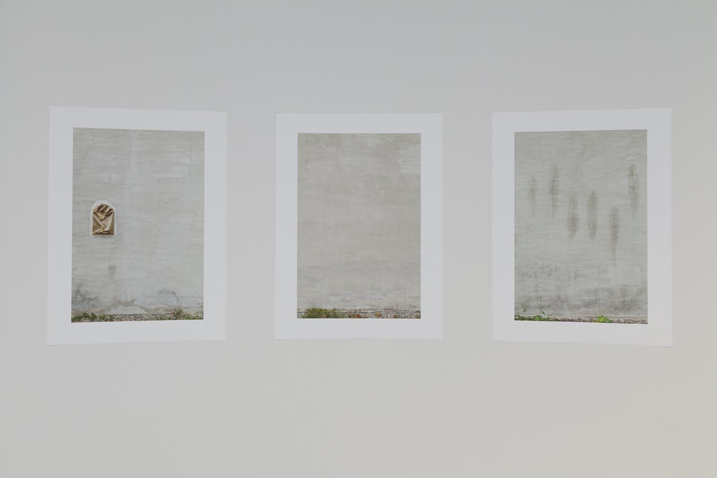 2019 Sara Foerster 581 3 222 02