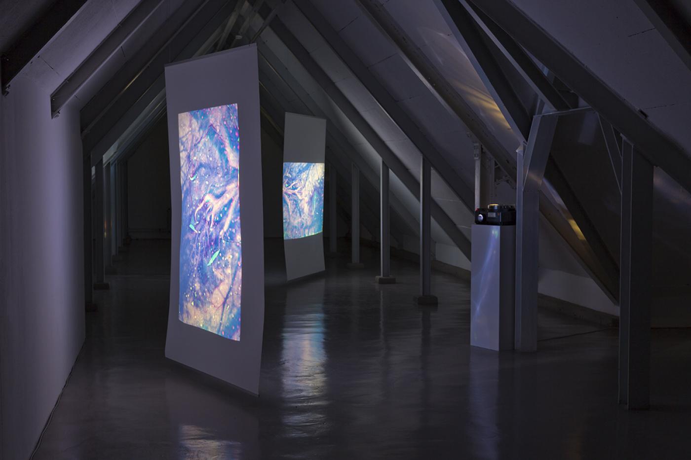 2019 Sara Foerster serendipity 02