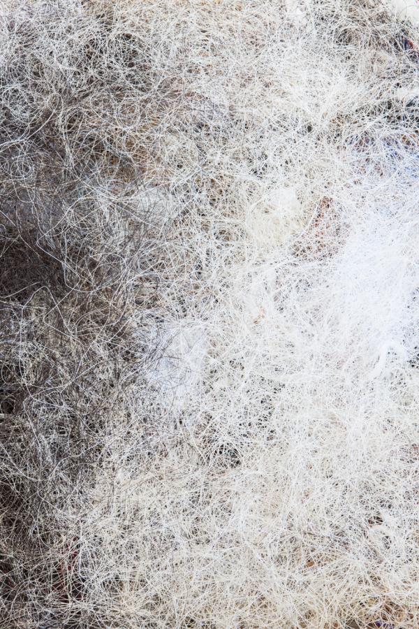 FranziskaKellerklein2