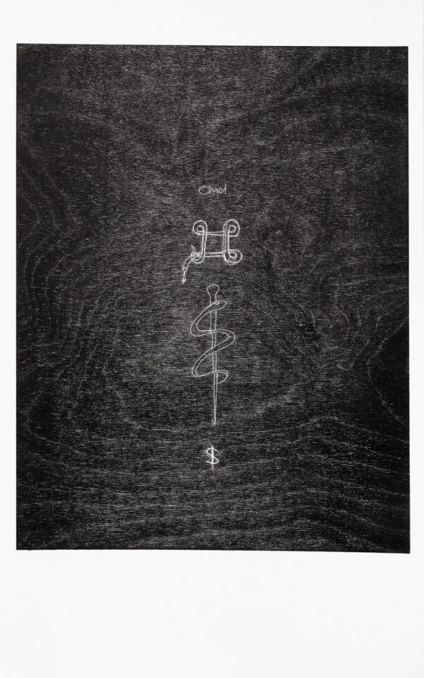 Sidsel Meineche Hansen INSIDER Cubitt 2014 cmd2