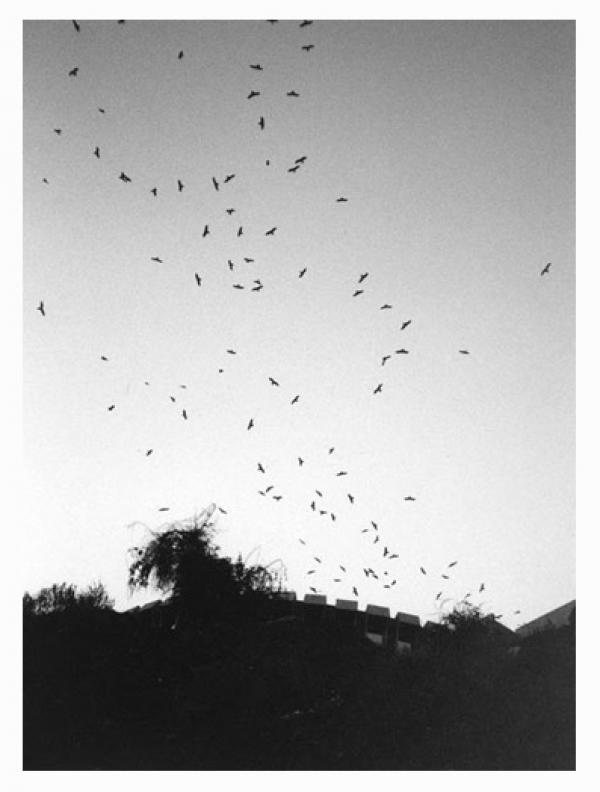 SimoneGilges soirsurlacote ed20