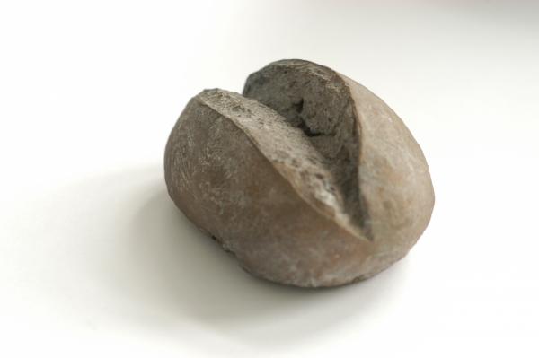 Rentmeister_Brötchen