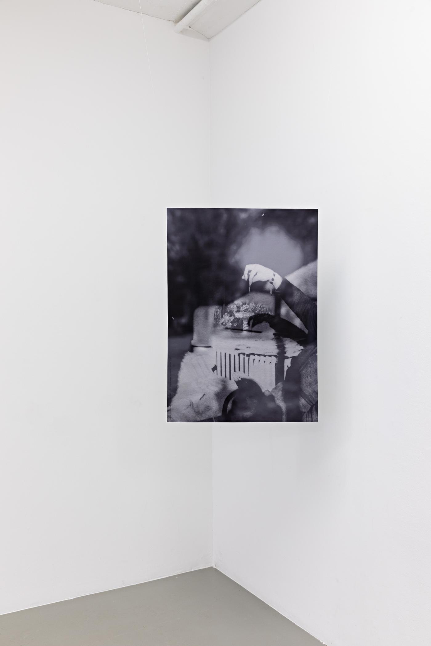 10 KHB Aleana Egan small field Affiche Chiriac