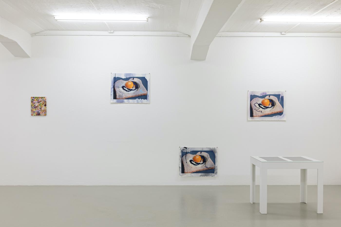 13 Jahresgaben Ausstellungsansicht FredDott.