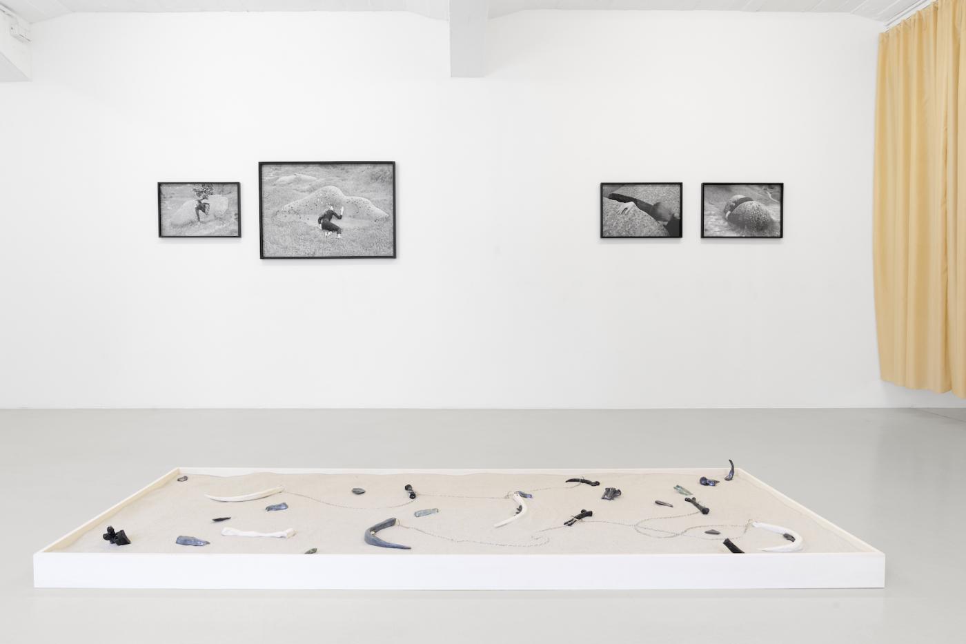 2 KHB NonaInescu Corporealle Foto Franziska von den Driesch008