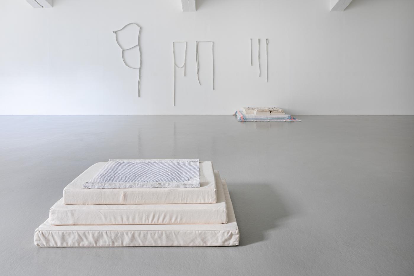 20 KHB Aleana Egan small field install2