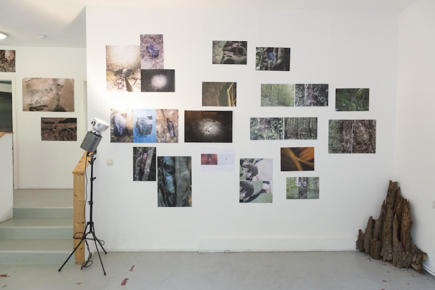 2020 10 04 surprise surprise Eyal Dinar Foto Sara Forster 14