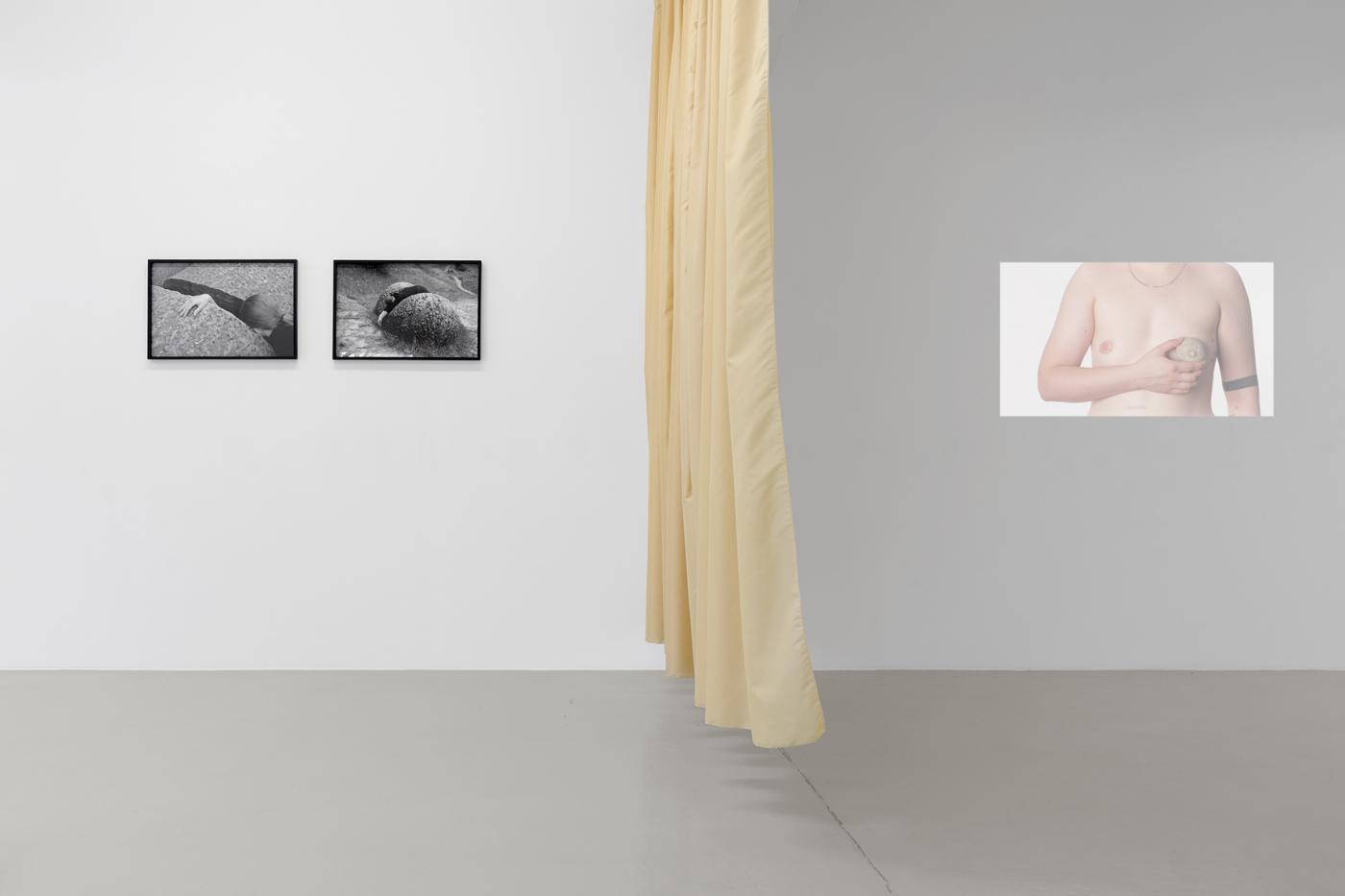 4 KHB NonaInescu Corporealle Foto Franziska von den Driesch b