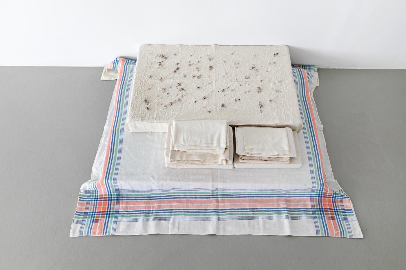 5 KHB Aleana Egan small field slow music2