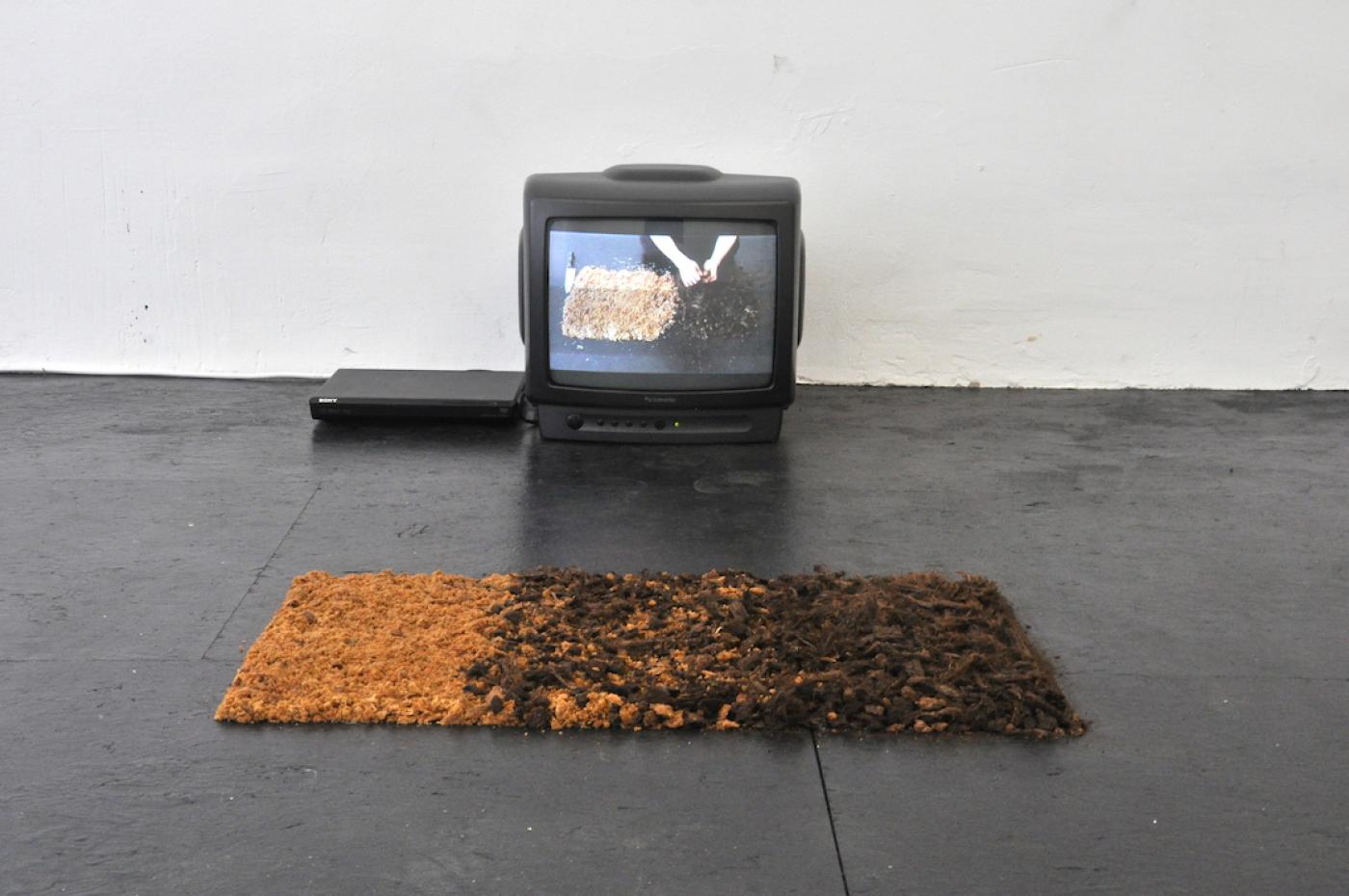 CountryContra OppositeAgainst Installation Torf und Panela jaggery 2014