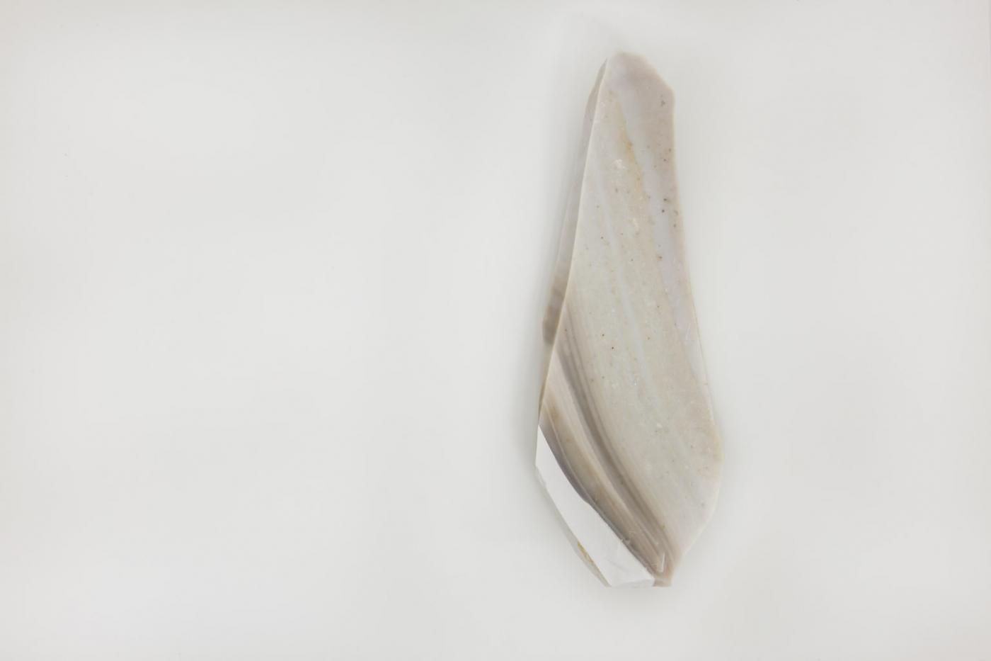 JAHRESGABEN 2014 MG 8063WEB