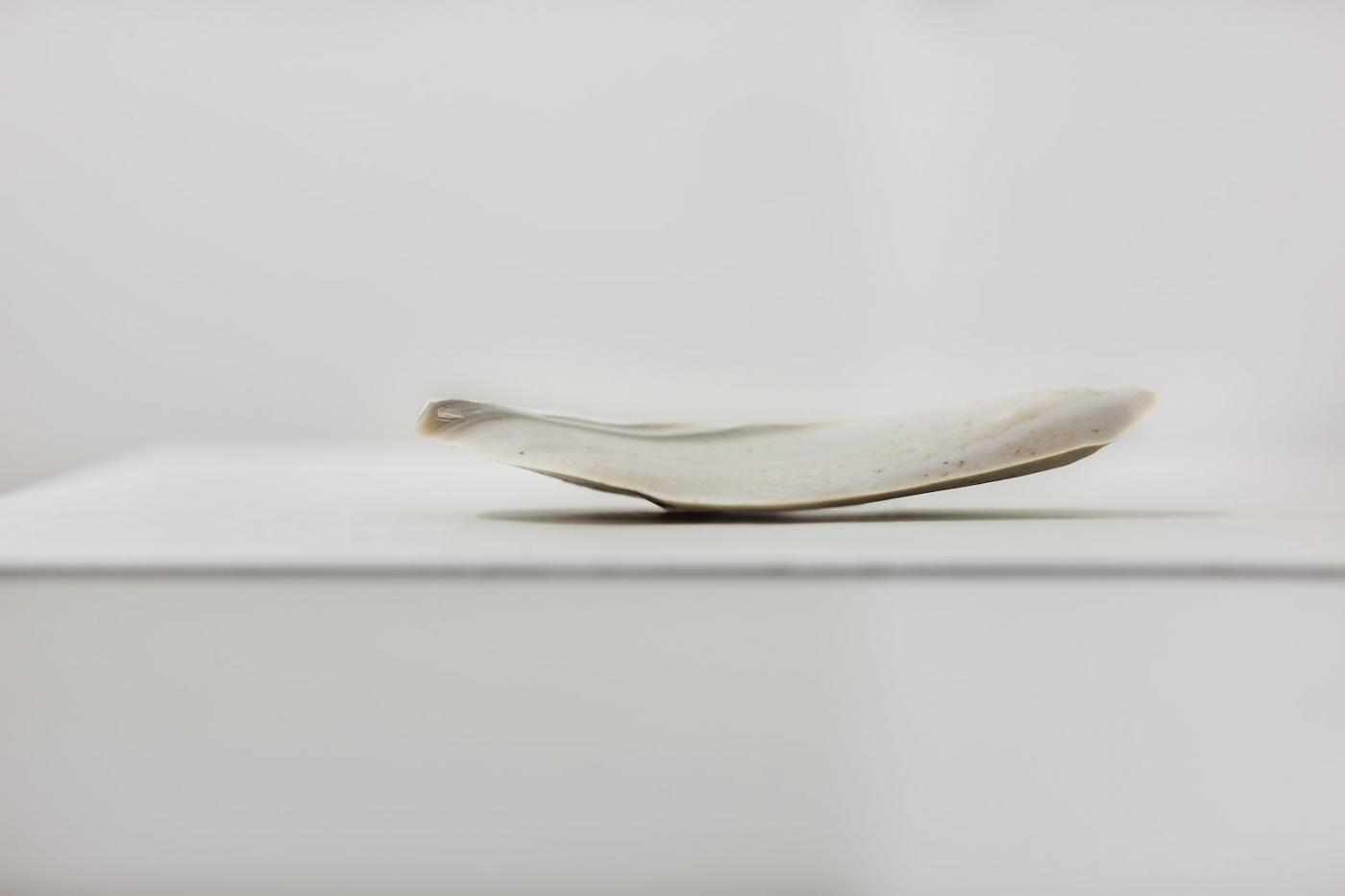 JAHRESGABEN 2014 MG 8104WEB