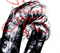 autoflower release klein