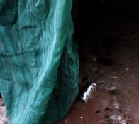 Tim Reinecke beyond questions 02