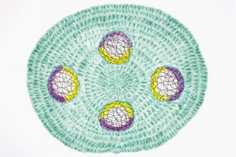 2008 Zeichnungen II  # 03 0.T. 220, 2008,Kugelschreiber, Buntstift auf Papier,29 x 42 cm