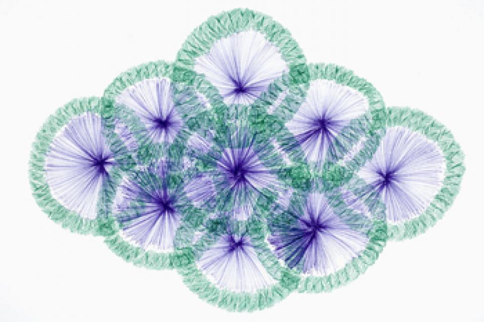 2008 Zeichnungen II  # 05 Raute 219, 2008,Kugelschreiber auf Papier,29 x 42 cm