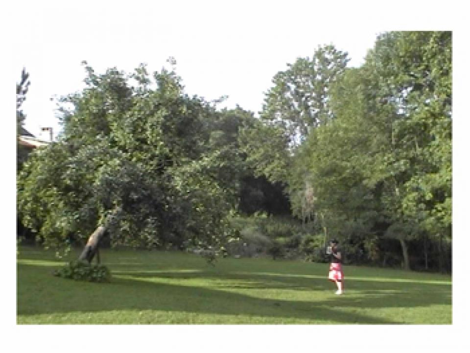 04 // multimediale Installation Ich gehe jeden Tag zu einem Apfelbaum und zeige ihm das Bild einer Kokosnuss.,2006/2007  / video, audio, 14 texts,about 20 sqm