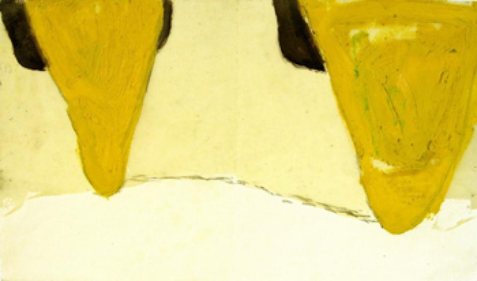  2005  02 o.T., 2005,Ölfarbe, Graphit und Wachs auf Papier,24 x 43 cm