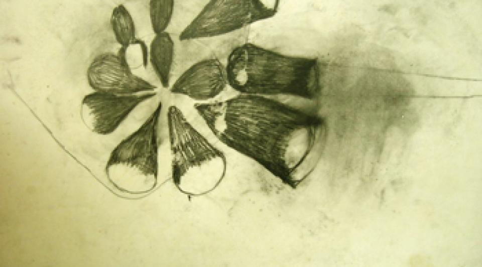  2005-2006  05 o.T., 2006,Ölfarbe, Graphit und Wachs auf Papier,29 x 50 cm