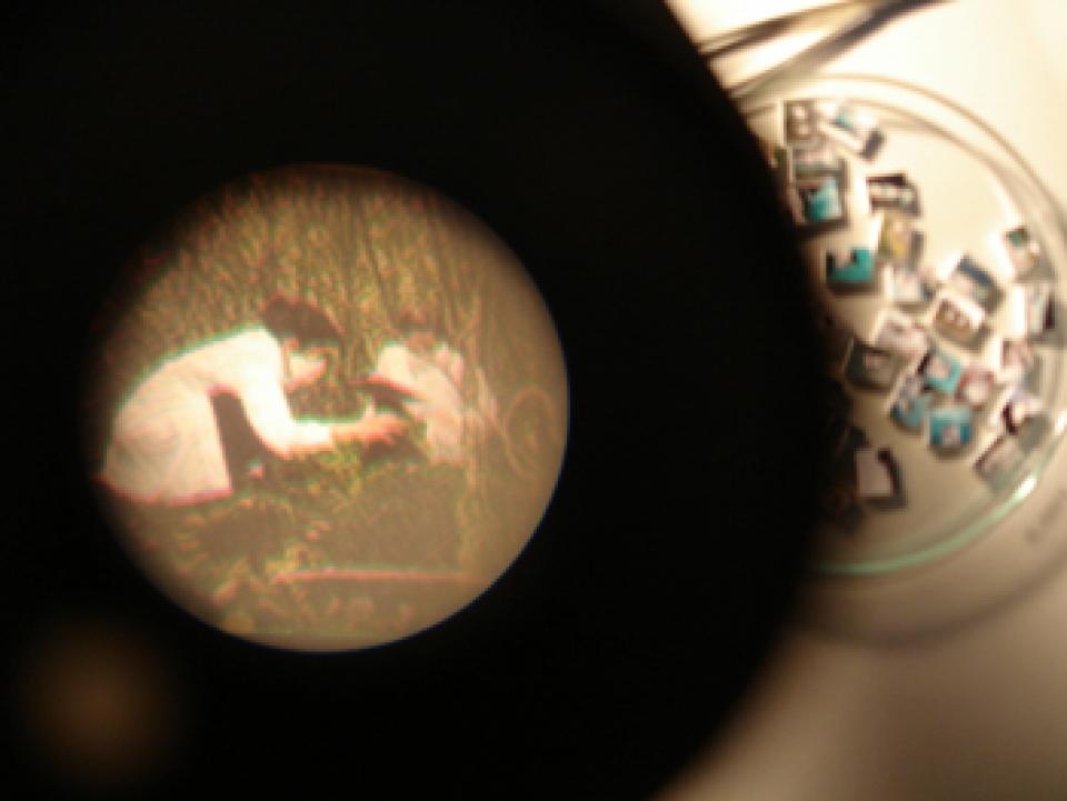 Vermessung # 01, 2008,Installation (Photos von Performances, Norwegen) / Bremen,Tisch, Lampe, Stuhl, Binokular, 50 Miniphotos, Petrischale, Pinzette, Lupe