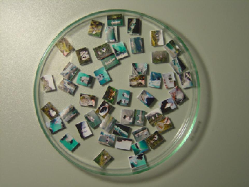 Vermessung # 03, 2008,Installation (Photos von Performances, Norwegen) / Bremen,Tisch, Lampe, Stuhl, Binokular, 50 Miniphotos, Petrischale, Pinzette, Lupe