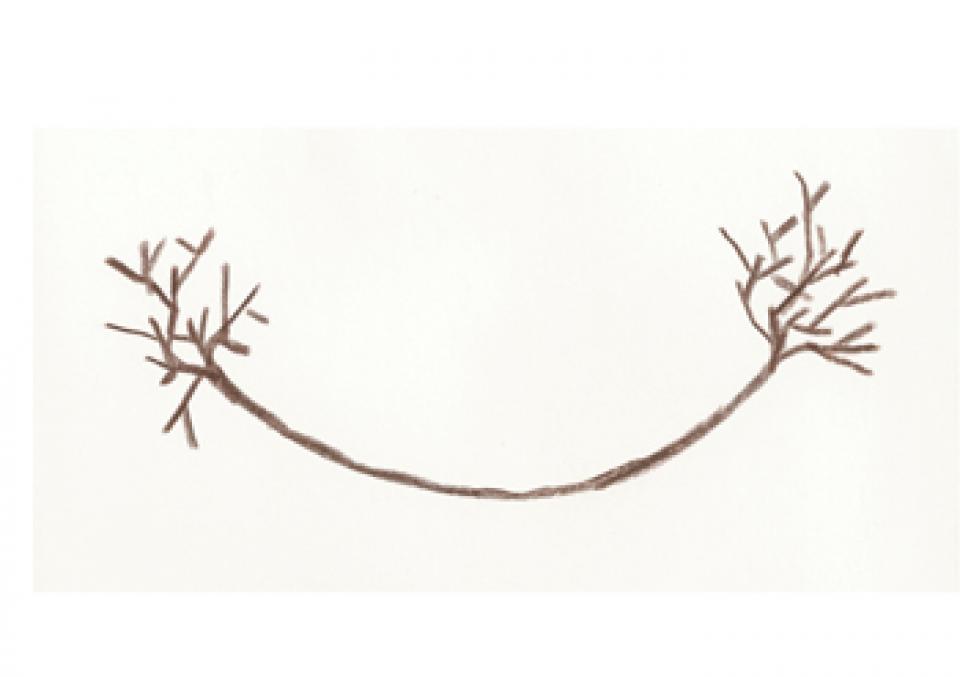 03 // Installationen Zwei Bäume, 2008,location-based installation / Atelierhaus Roter Hahn, Bremen,drawing