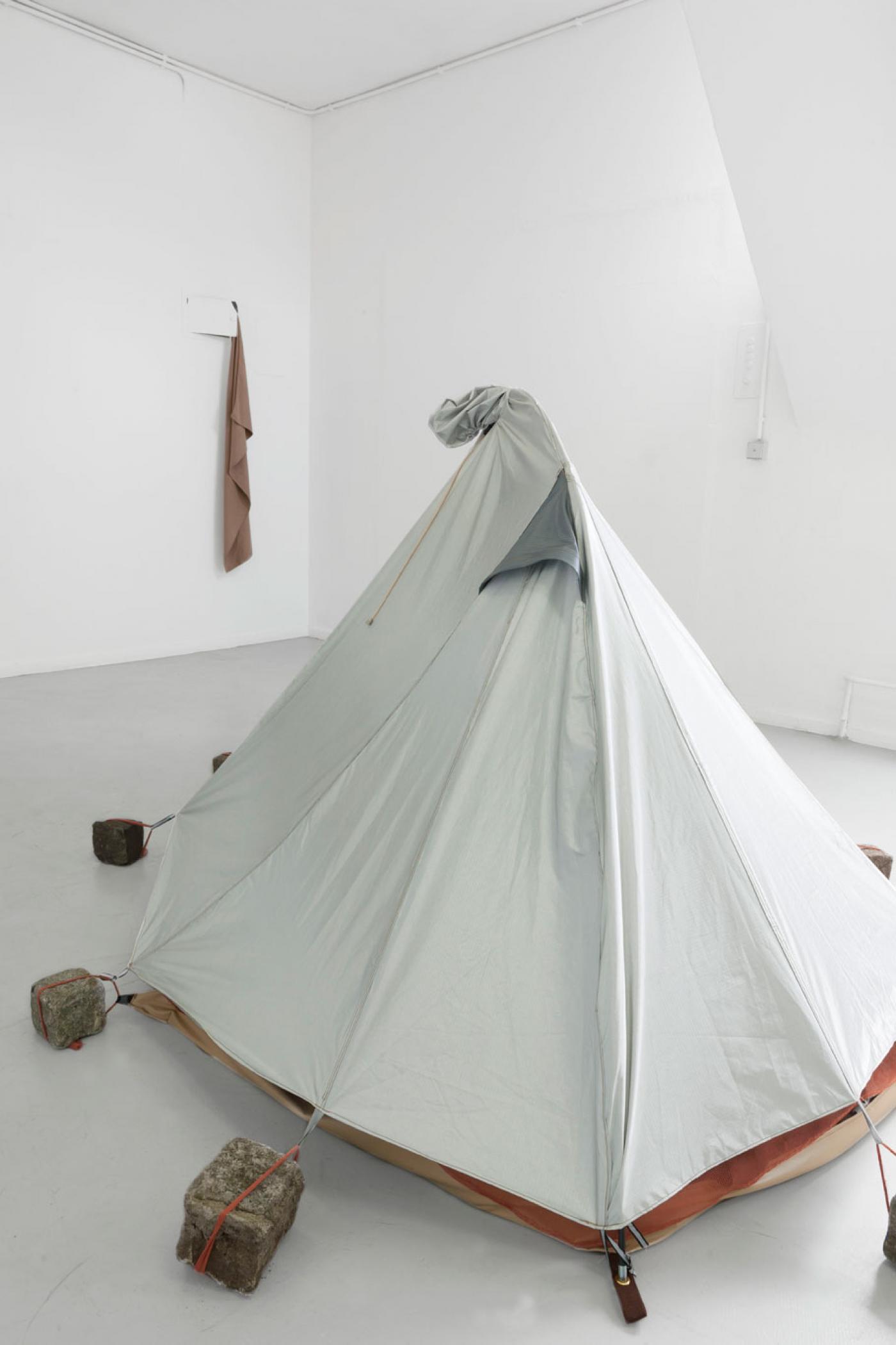 Franziska von den DrieschDazwischentreten 2