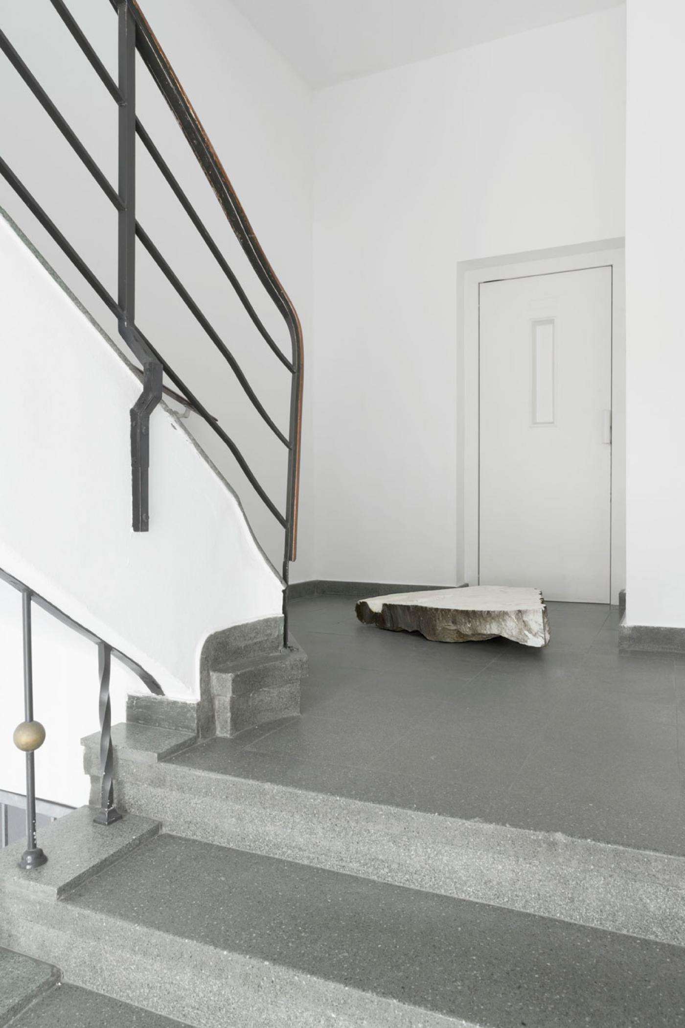 Franziska von den DrieschDazwischentreten 4