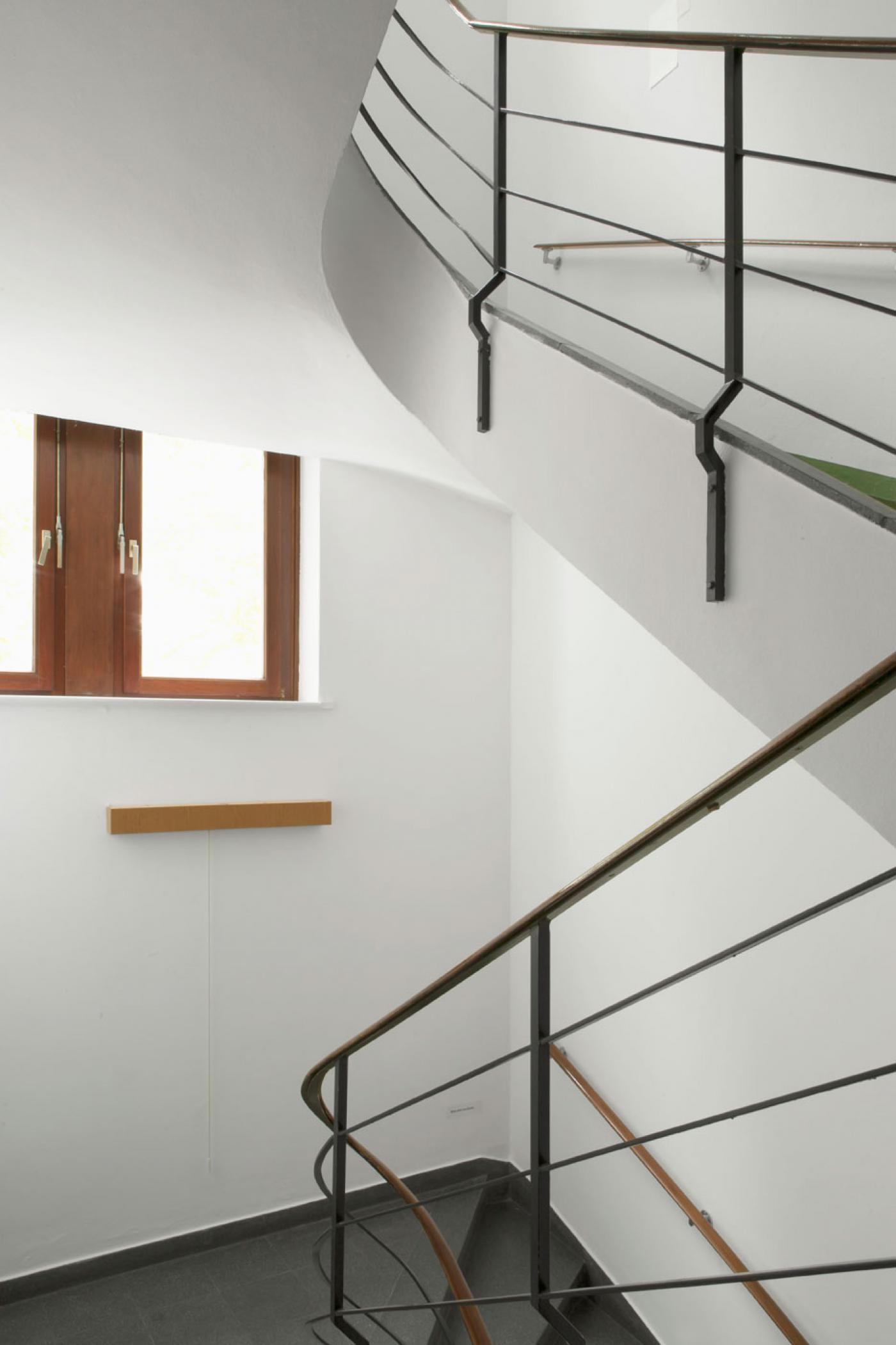 Franziska von den DrieschDazwischentreten 5