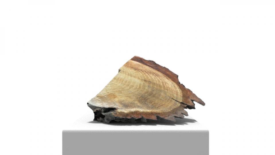 processed_Work , 2014