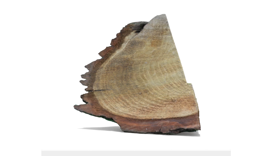 processed_Work, 2014