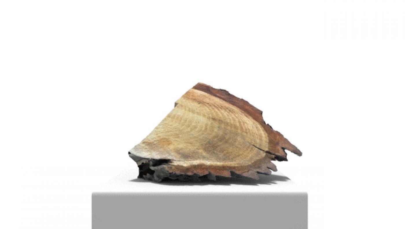 Processed Work 2014 Videostill