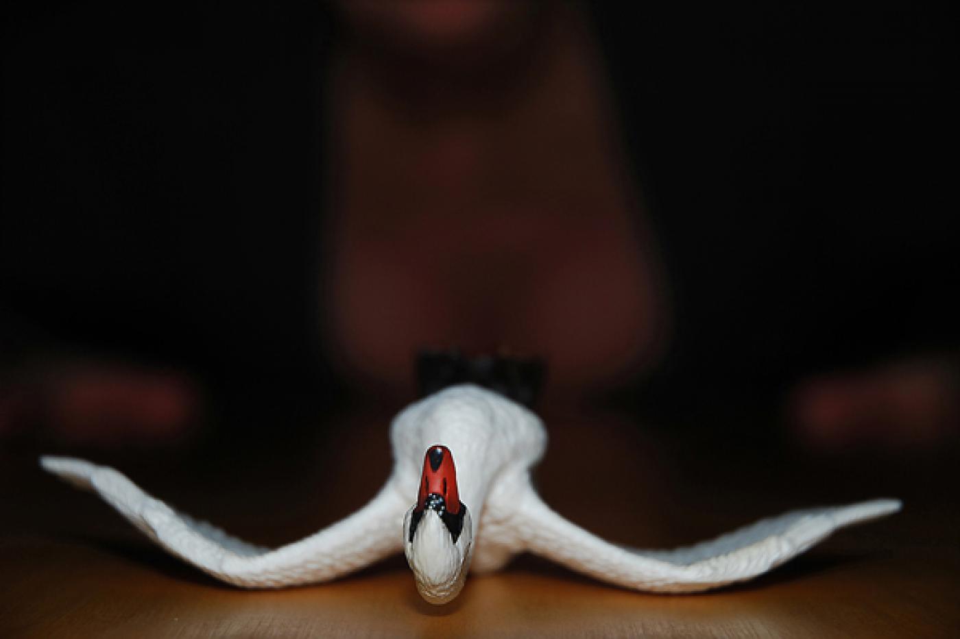 1. heimlicher Fug inszenierte Fotografie klein