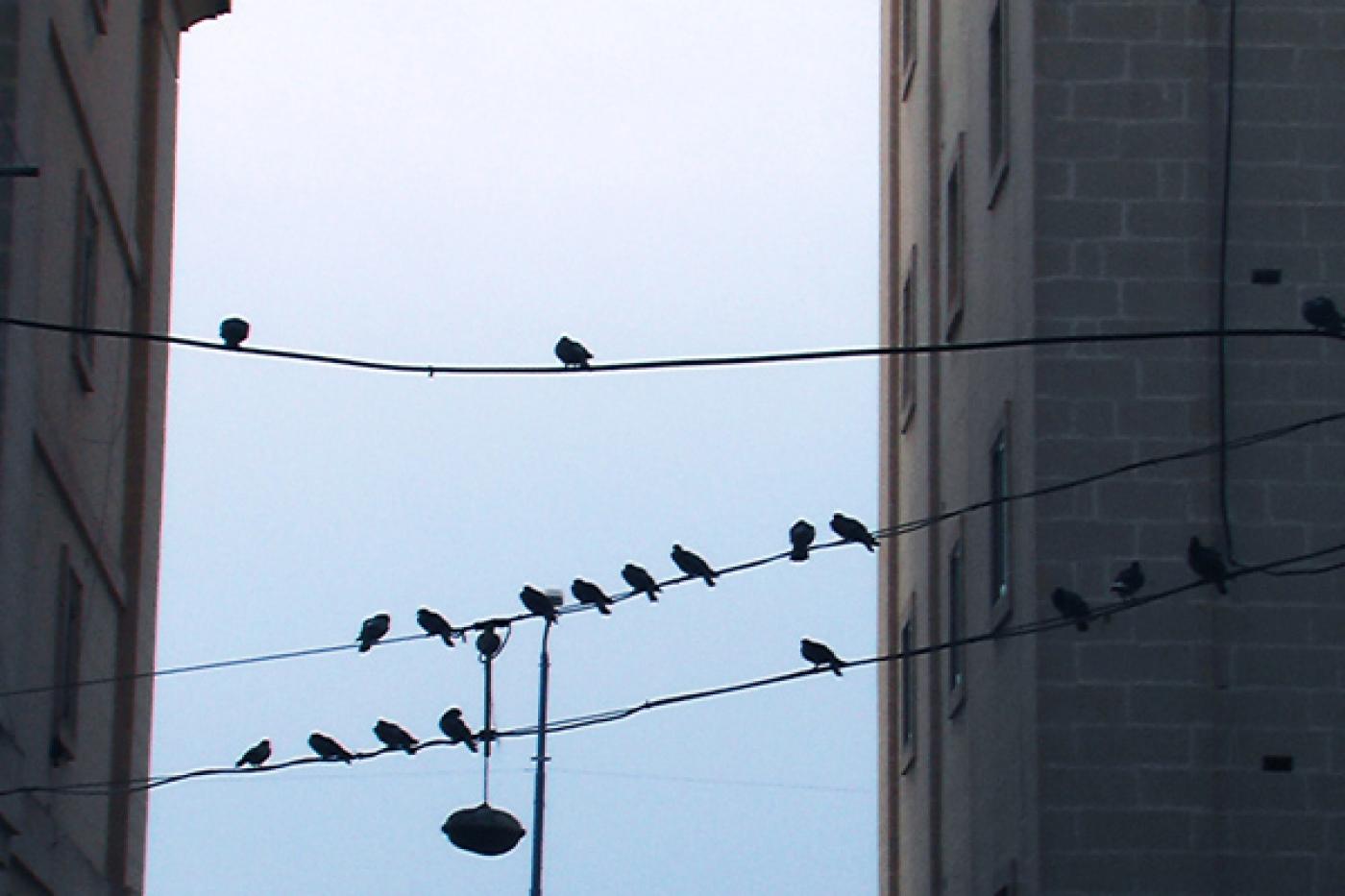 4. Vogelperspektive Fotoarbeit klein