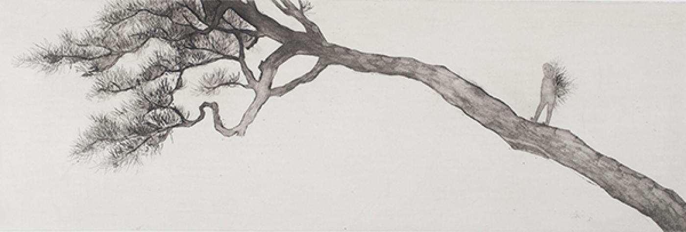 1.Nadelbaum 49cm x 17cm2011 600 