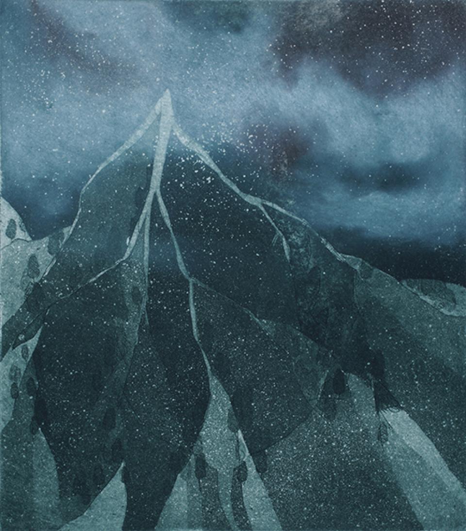 Birkenberg, 2012,20 x 17 cm