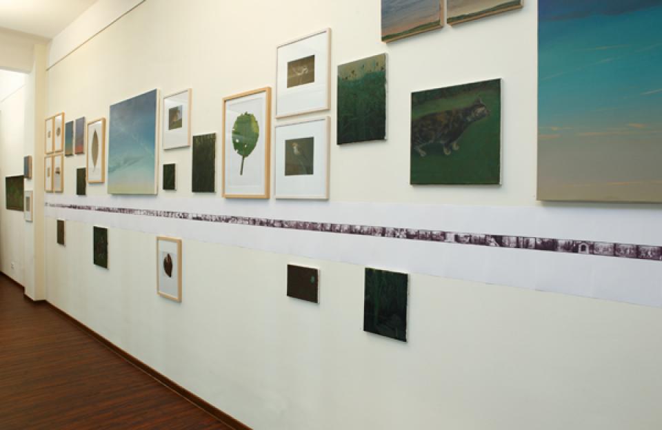 exhibition view "naturalia", 2009