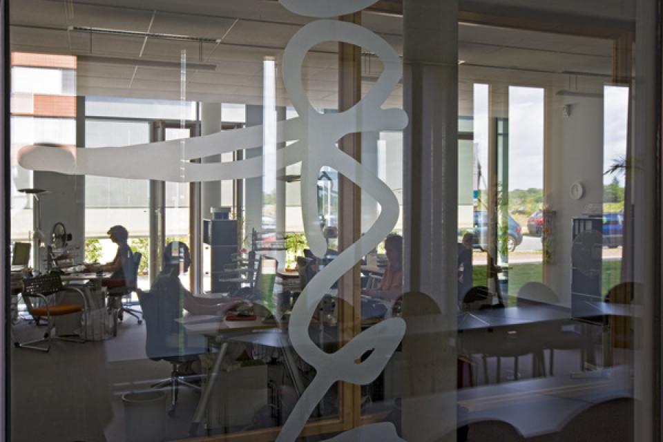  Der Schutzhase oder die Meisterlampe 04