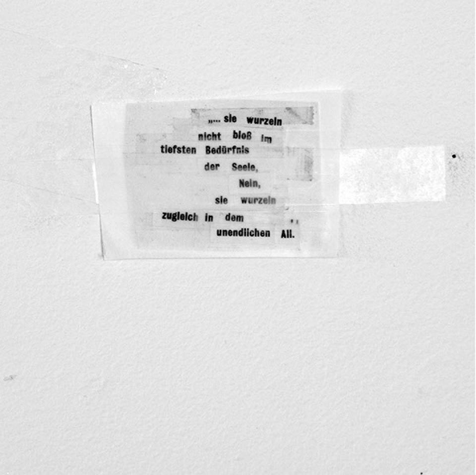 zelle und welt n°_0 "Sie wurzeln nicht bloß ...", 2010,Laserprint, Klebeband