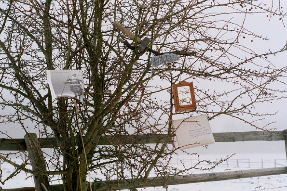 Are you sure you want to pursue this # 03, 2010