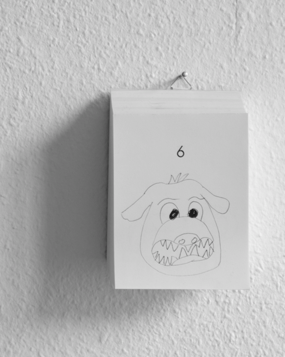 Jeden Tag ein Hund, 2013