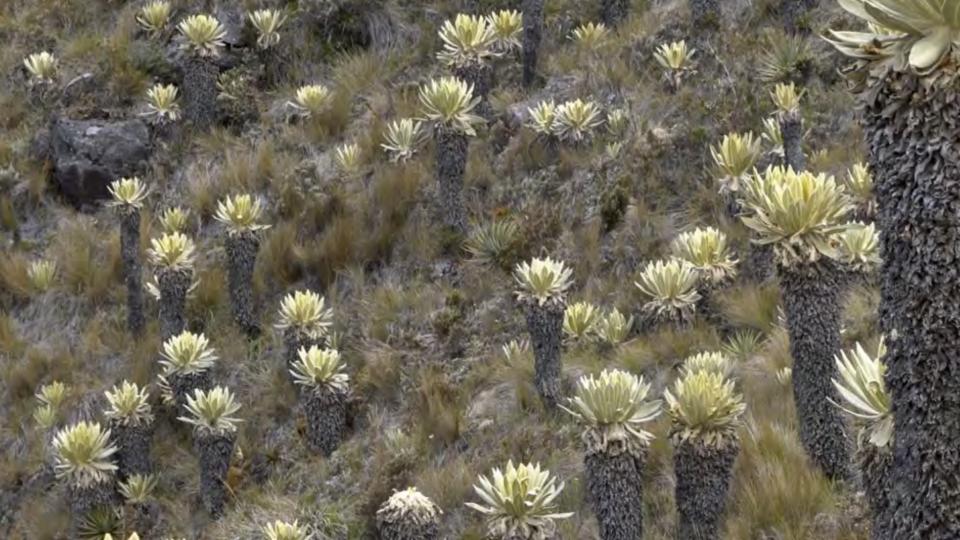 Water Warriors , 2019,Videostill